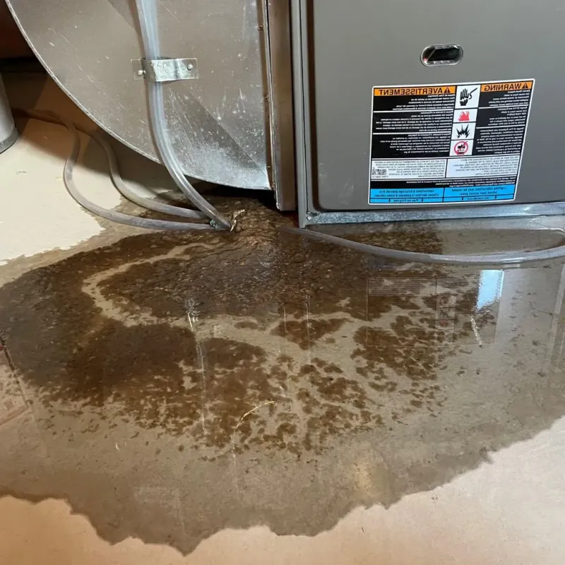Pipe Burst and Leak Restoration in Hokendauqua, PA